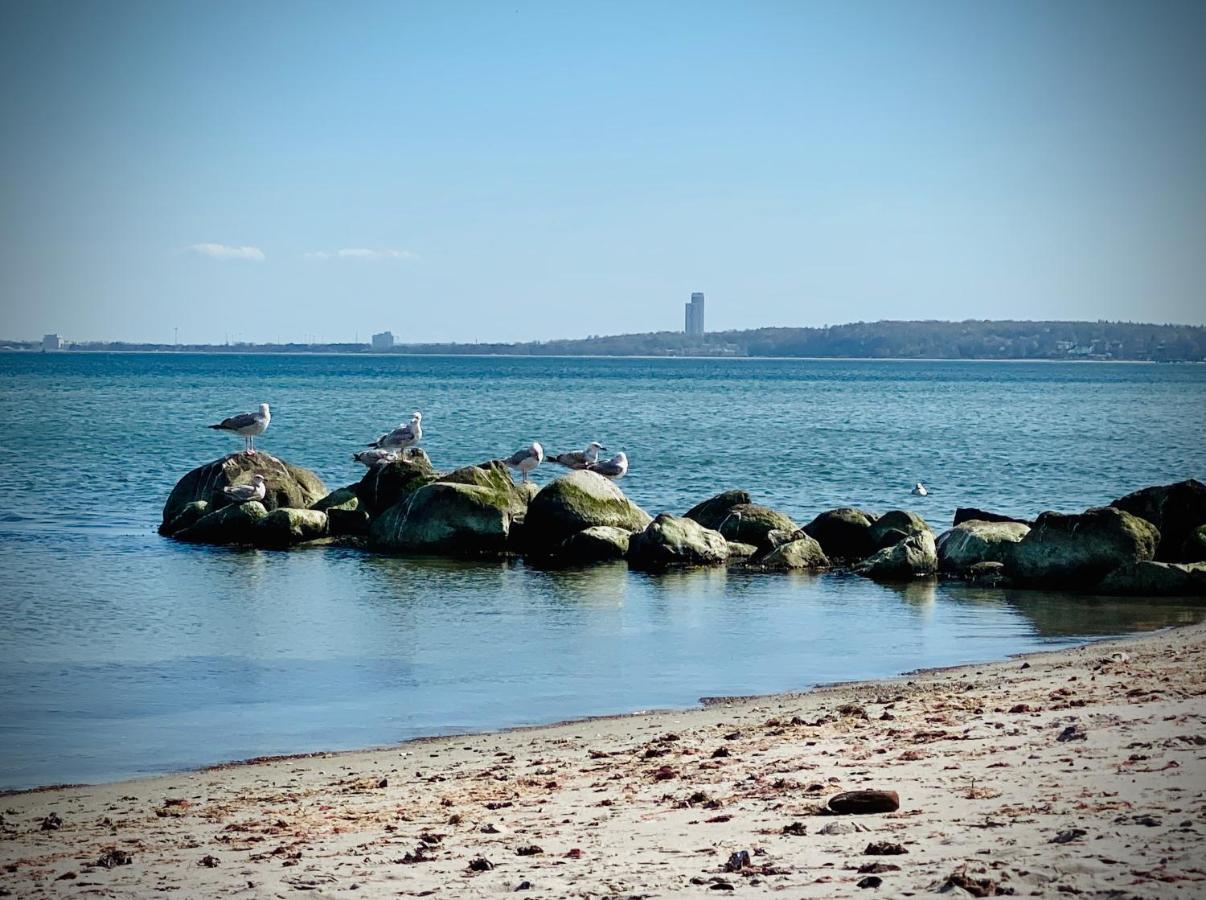 Fewo Sonnendeck Familien-Strandnah-Garten-Hunde-Sport-Und Schwimmbadnah-Hansapark Sierksdorf Exterior foto